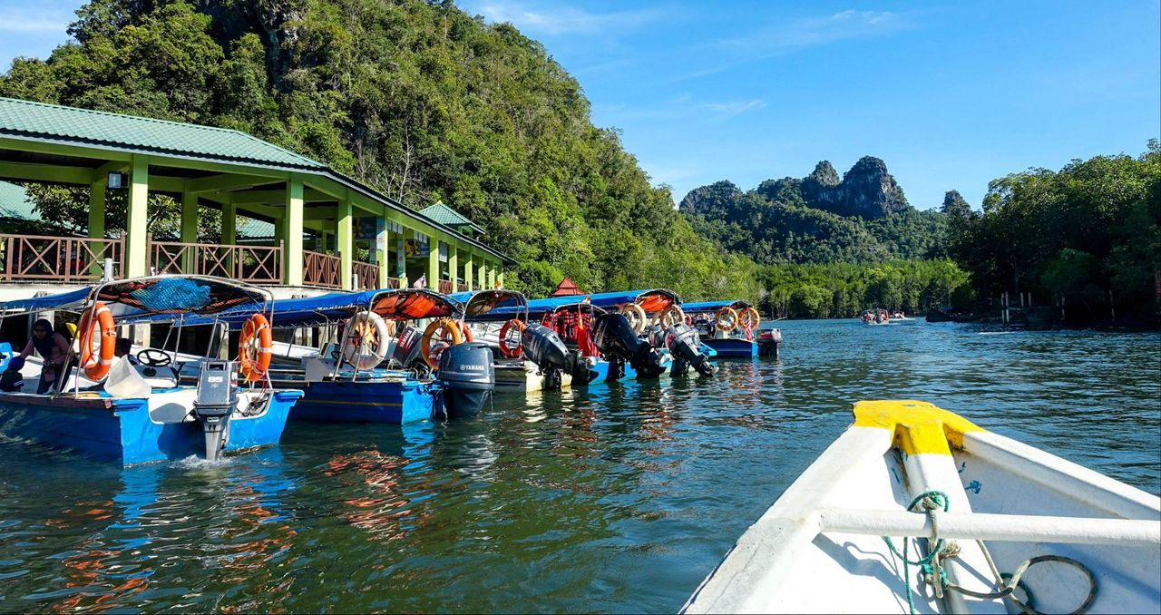 Langkawi Mangrove Tour